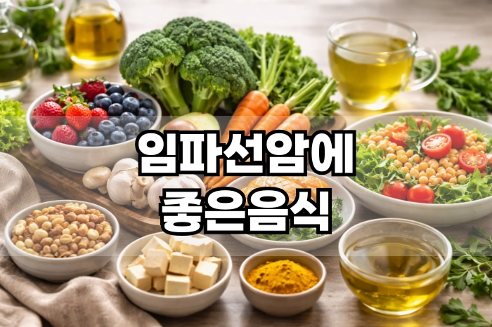 임파선암에 좋은 음식