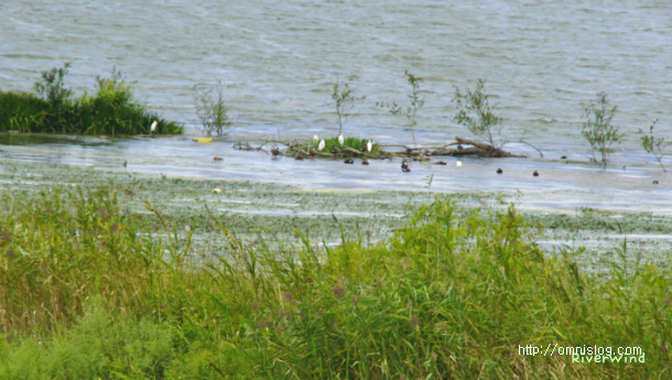 낙동강변 길걷기