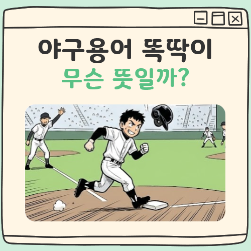 야구 똑딱이 뜻 대표 이미지