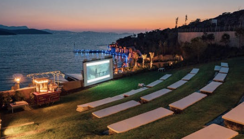 부산영화제 화제작(작품, 평가,수상)