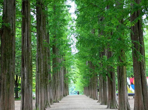 서울근교 가볼만한곳