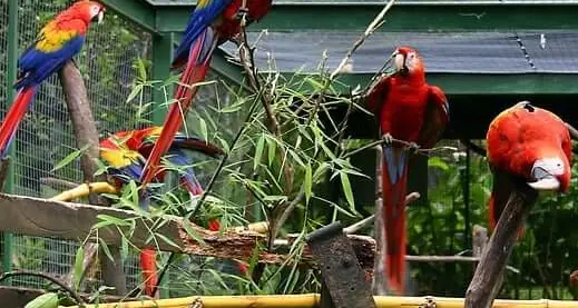 아빠 육아휴직 장려금 신청 방법