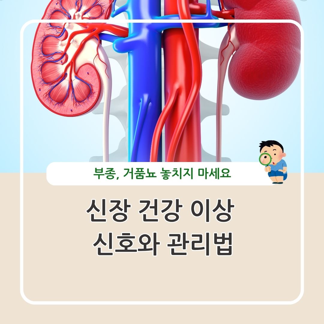 신장 건강 이상 신호와 관리법