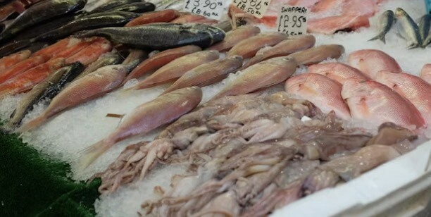 대한민국-수산대전-수산시장-생선-사진