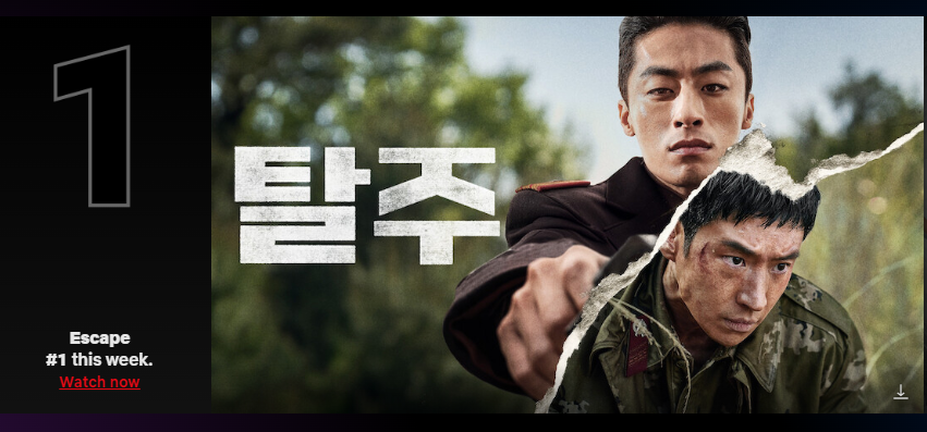 넷플릭스 순위 3