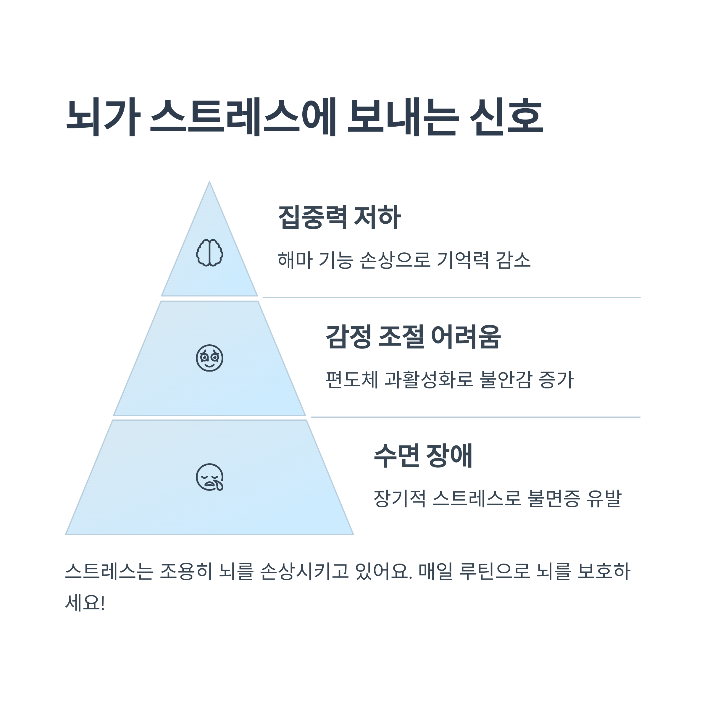 스트레스와 뇌의 관계