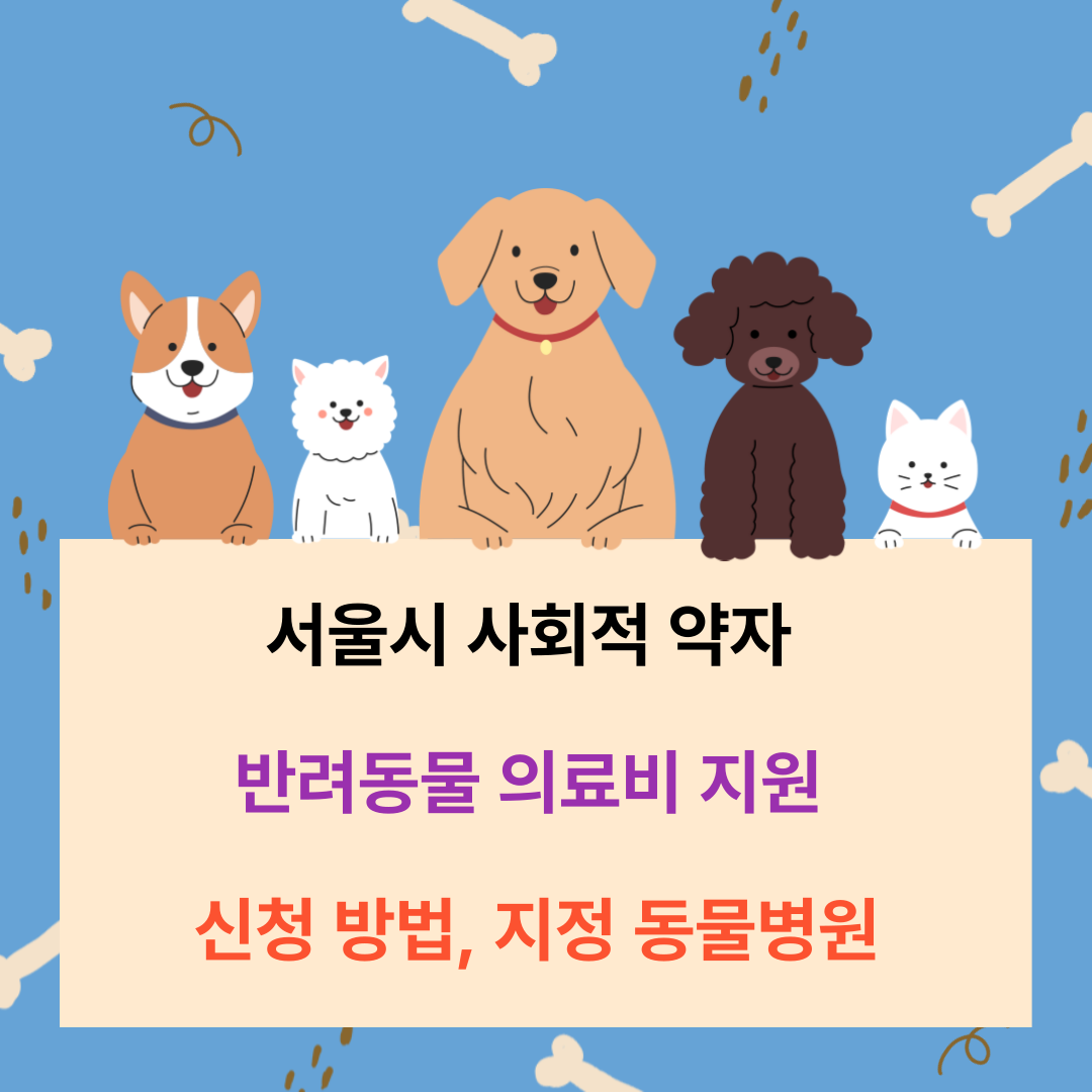 서울시 사회적 약자 반려동물 의료비 지원 신청 방법, 지정 동물병원
