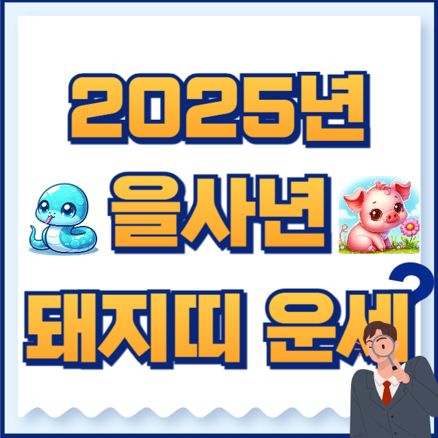 2025년 돼지띠 운세