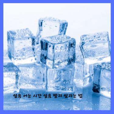 얼음 어는 시간 얼음 빨리 얼리는 법 
