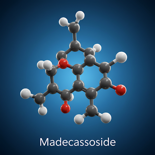 마데카소사이드 피부진정에 도움