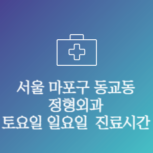 서울 마포구 동교동 주말 토요일 일요일 문여는 병원 진료시간