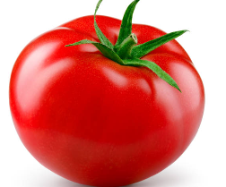 토마토