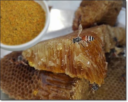 천연 영양제로 불리는 벌꿀화분