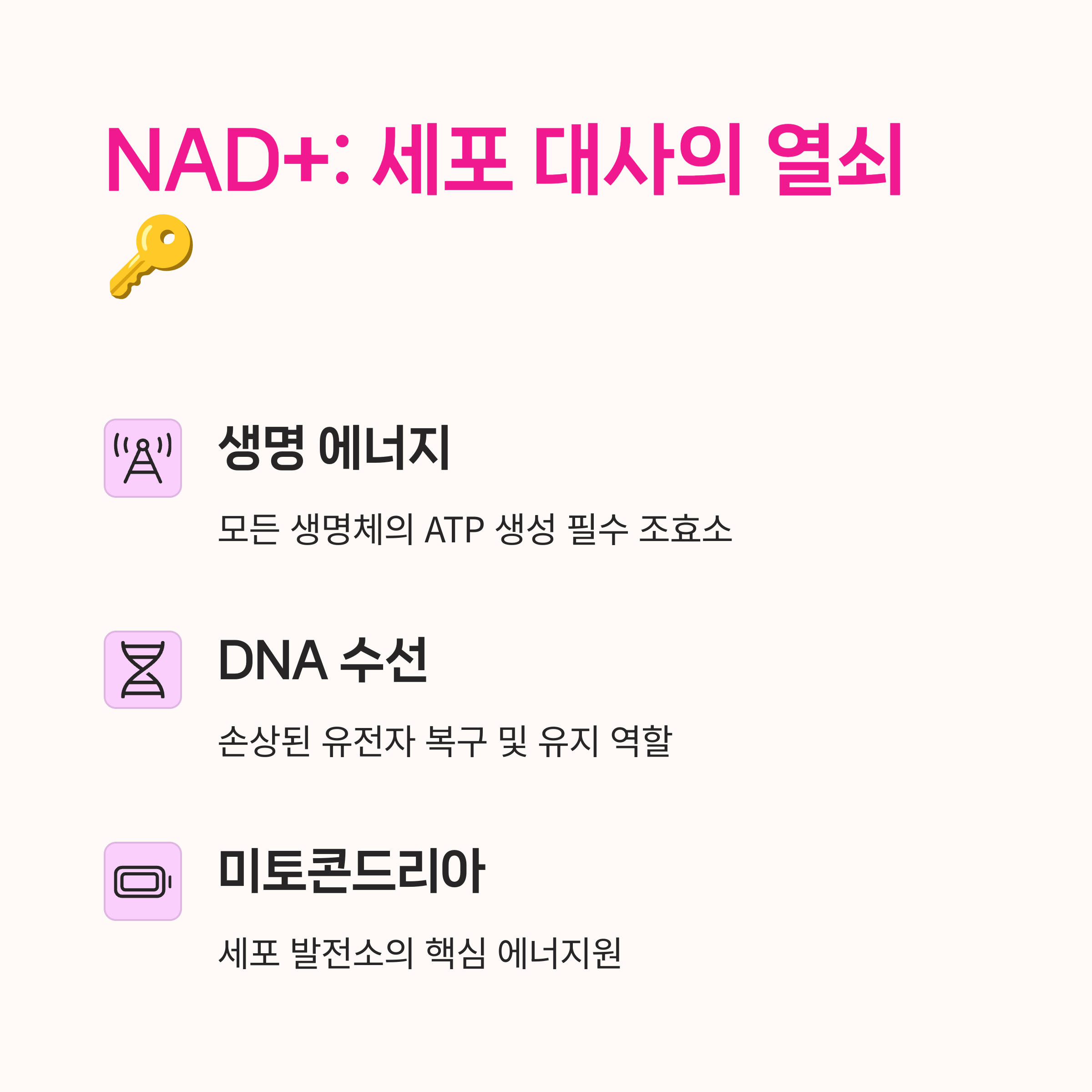 항산화, 노화방지,