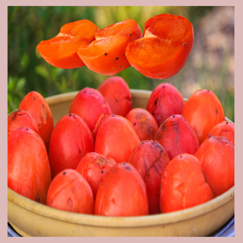 곶감 단감 홍시 차이 및 효능 홍시 연시 연감