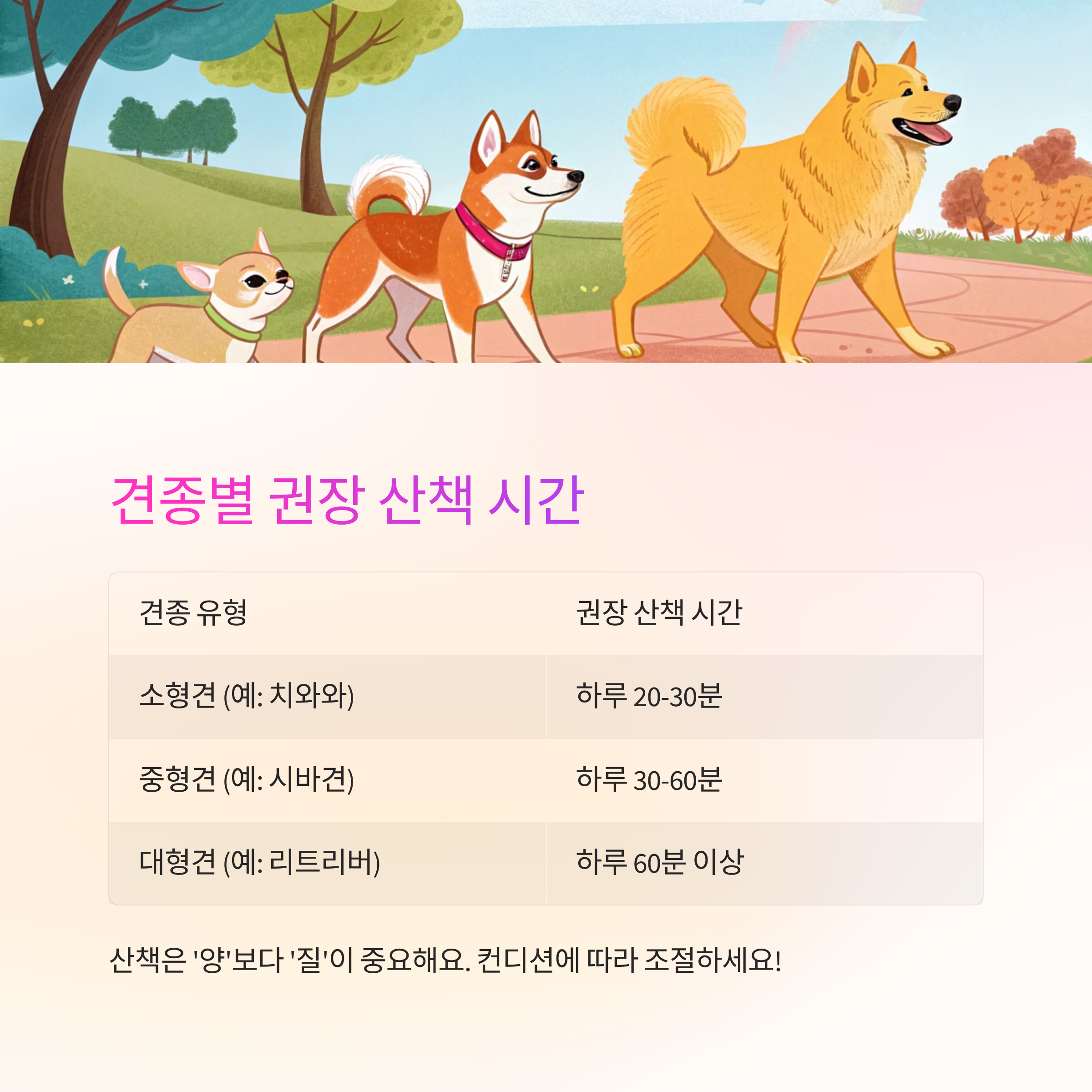 견종별 권장 산책