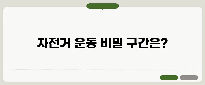 자전거 운동 효과 살 빠지는 구간 따로 있다