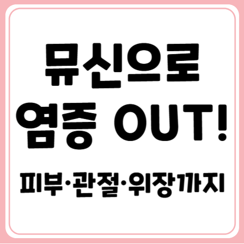 뮤신의 항염 효과, 만성 염증과 이별하는 법