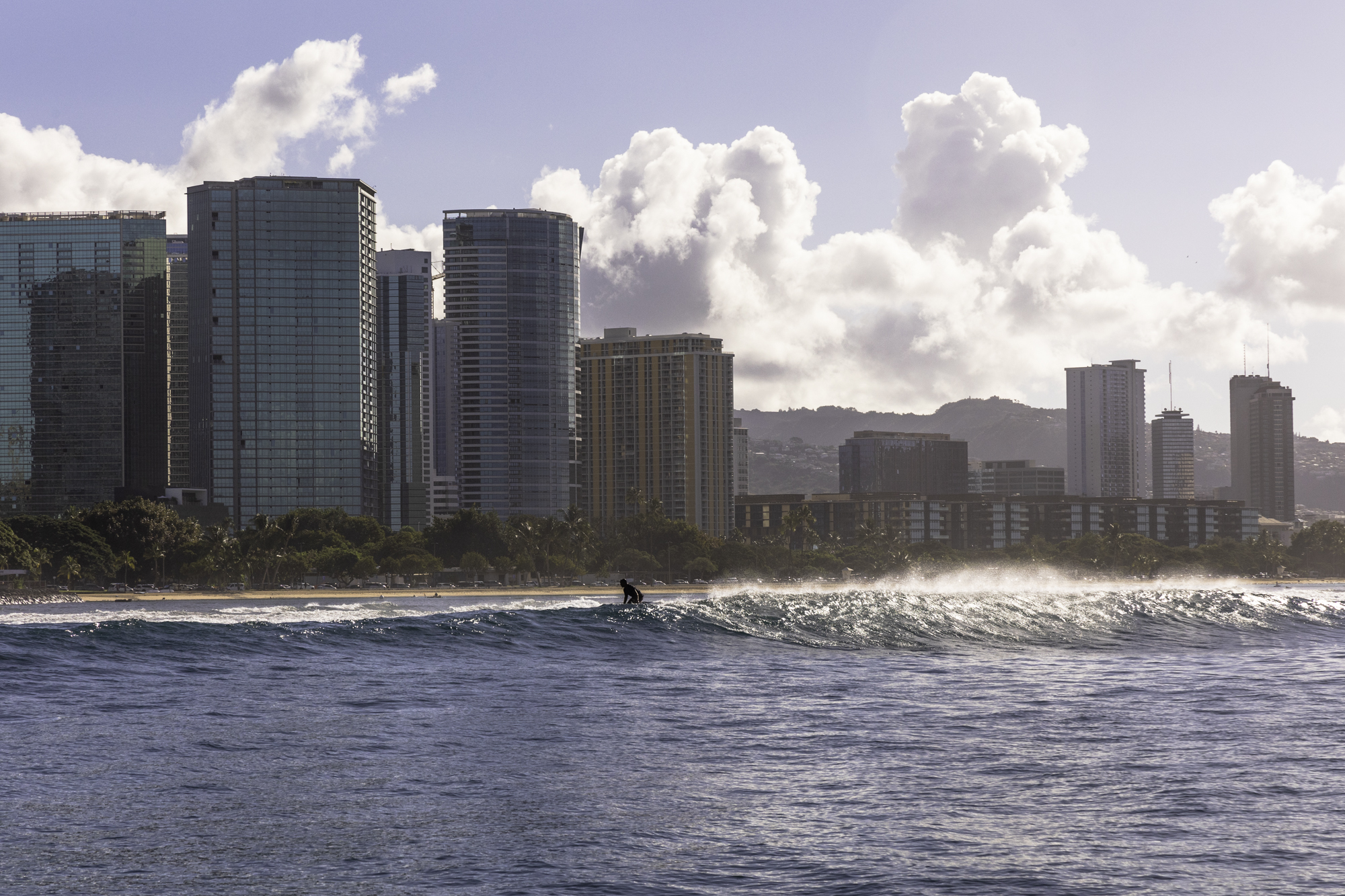 하와이 거북이 스노쿨링 와이키키