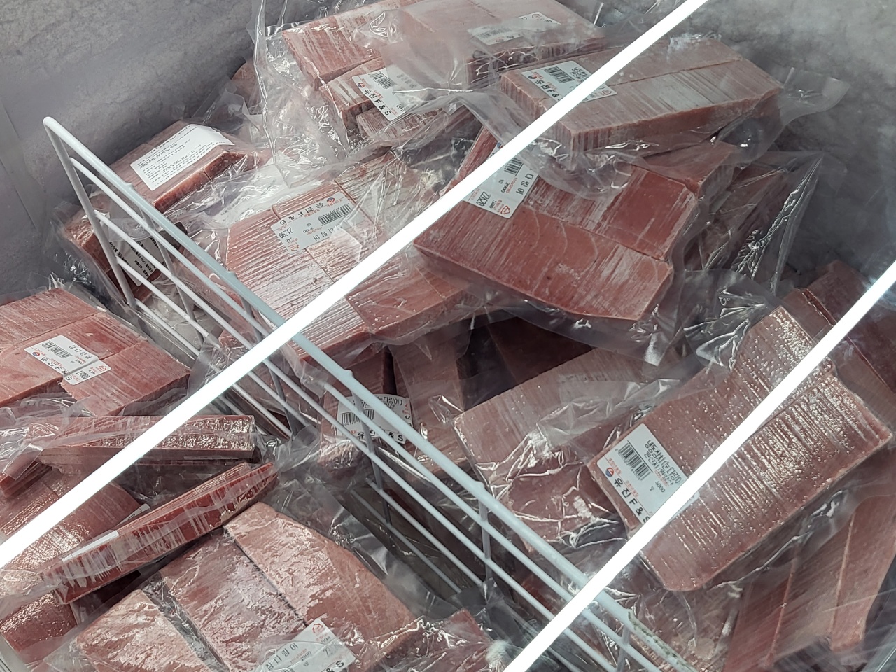 냉동 냉장고안에 있는 참치