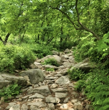 Alt 속성 문제 해결 설명 이미지