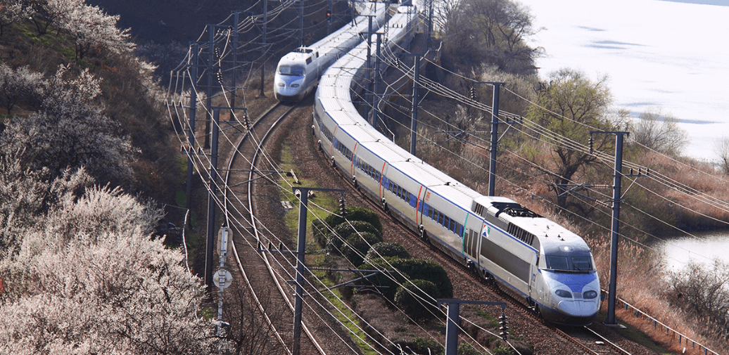 양산 원동역에 만개한매화