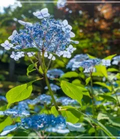 화담숲-예약하기-입장료-운영시간