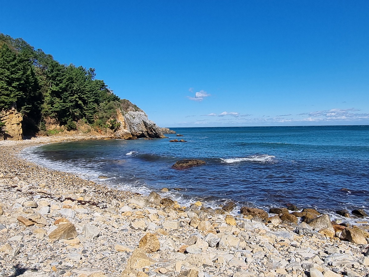 동해 가볼만한곳 천곡항 후기 &amp;#124; 수상 레저와 감성돔 낚시&amp;#44; 작은 항구 매점