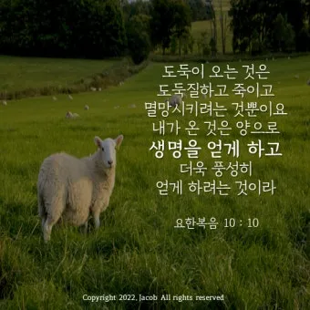 요한복음 21장 17절 성경말씀 - 세 번째 이르시되 요한의 아들 시몬아 네가 나를 사랑하느냐_26