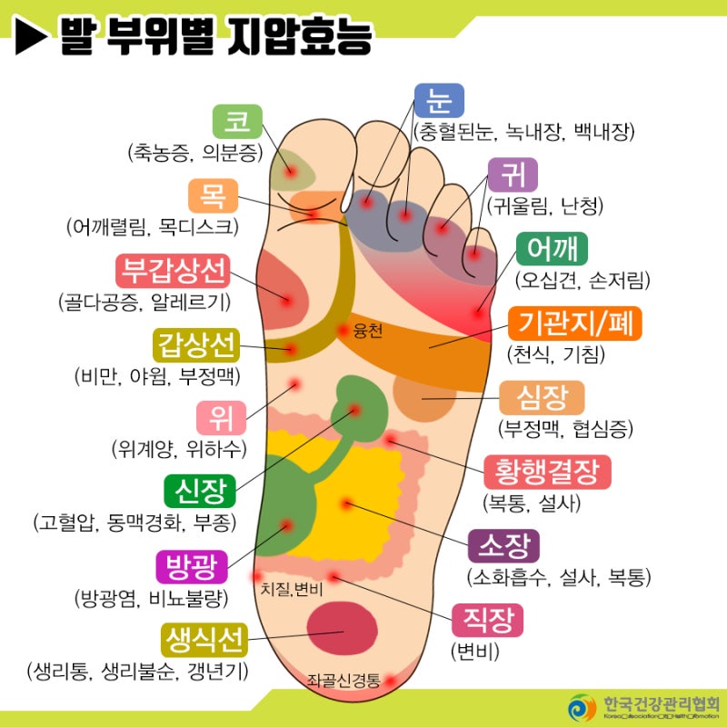 발 부위별 지압효능
