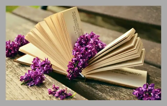 한강 채식주의자