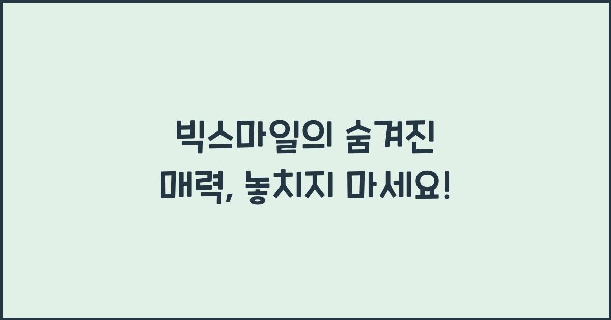 빅스마일