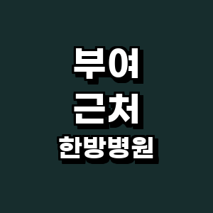 부여군 한방병원
