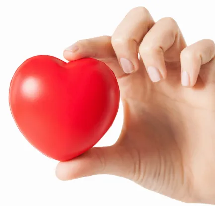 건강보험료 상한액