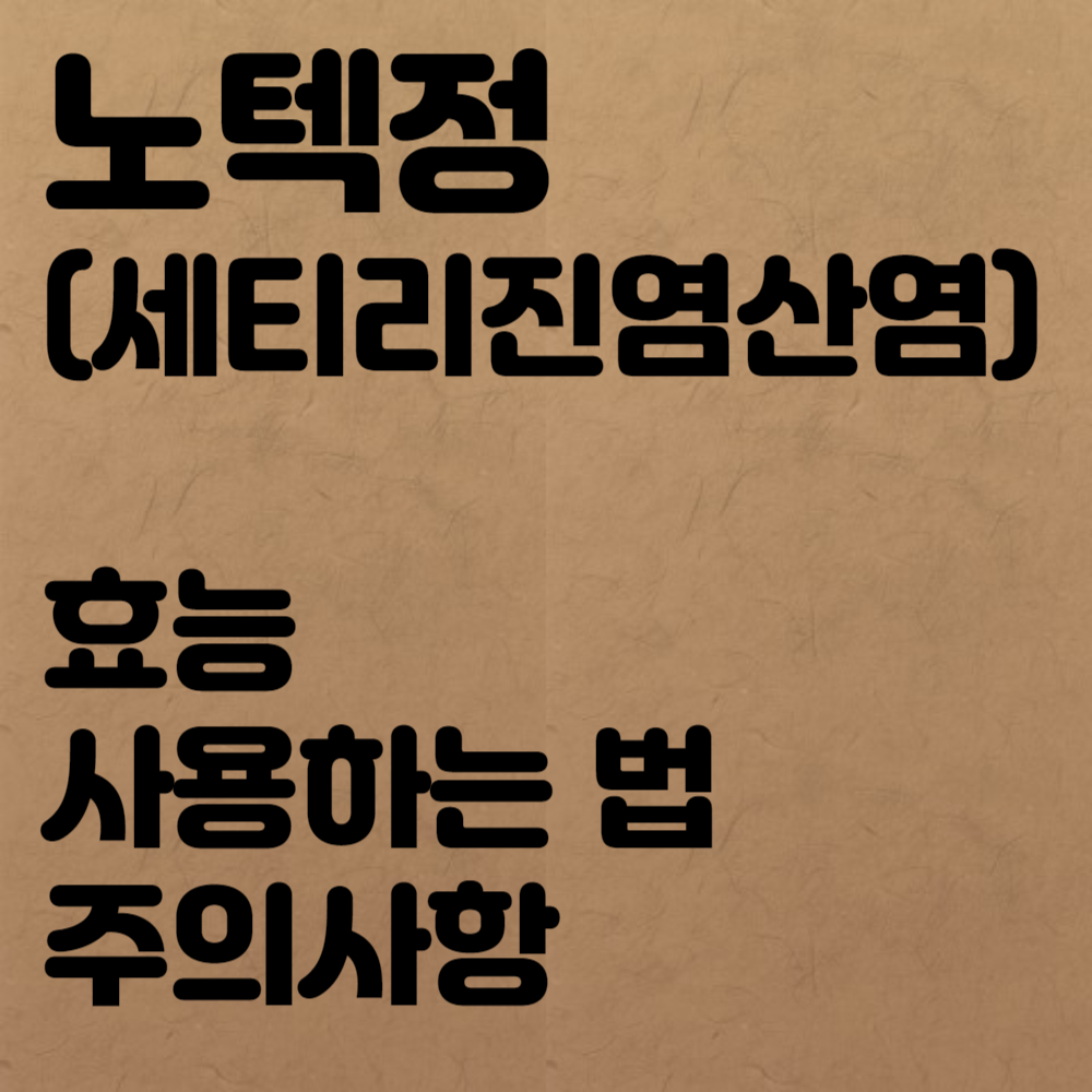 노텍정(세티리진염산염) 효능, 사용하는 법, 주의사항