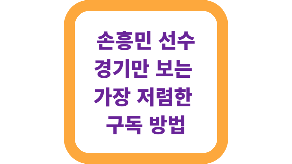 손흥민 선수 경기만 보는 가장 저렴한 구독 방법 사진
