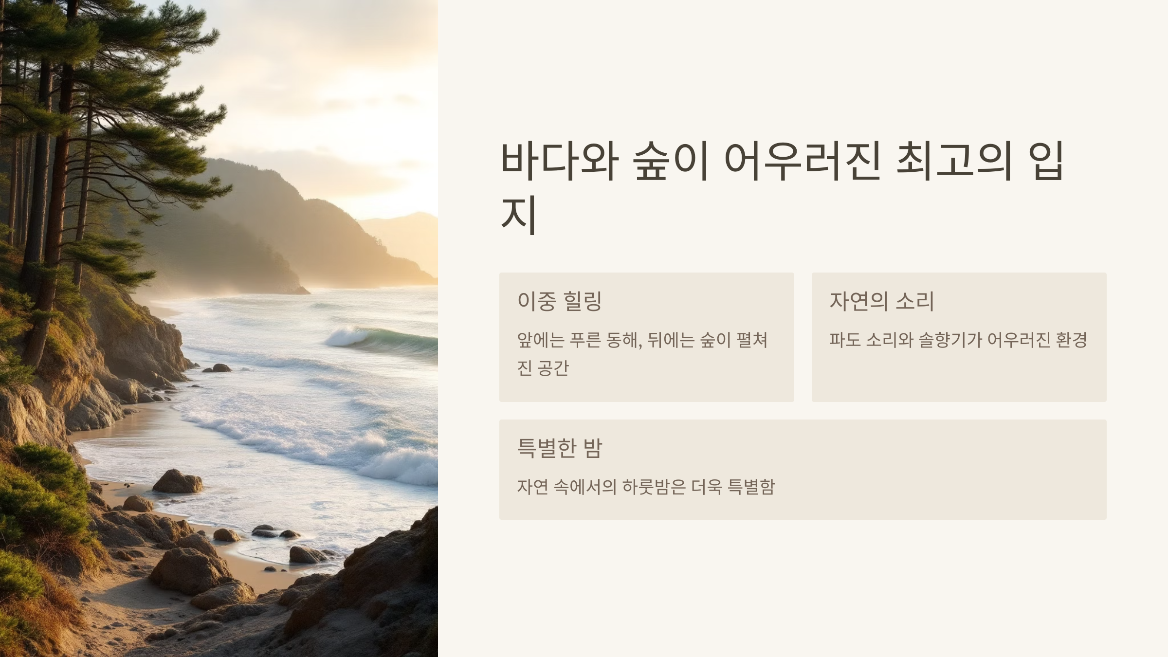 🏕️ 고성 오호캠핑장 : 감성 캠핑의 진수!