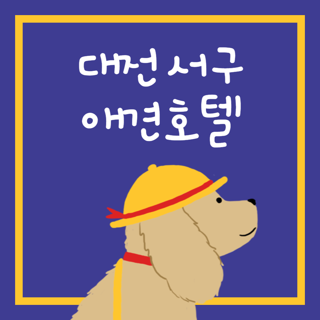 대전 서구 애견호텔