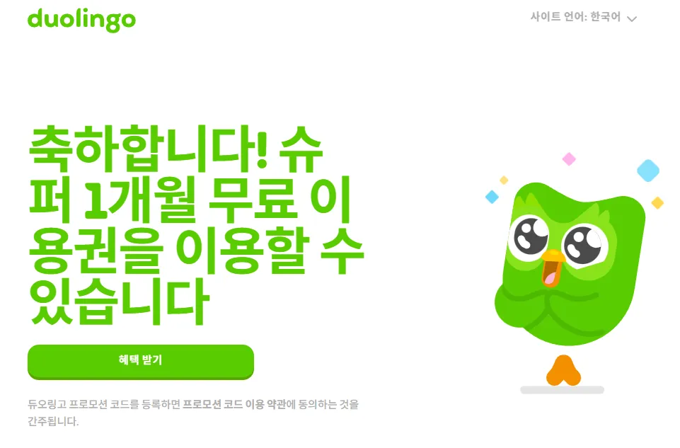 무료 영어 언어 학습 듀오링고 리딤코드 1개월