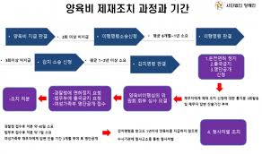 양육비 지급 안 될 때 대처법
