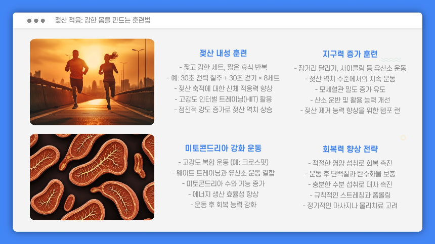 젖산, 피로의 적인가 운동 효과를 바꾸는 비밀의 열쇠!