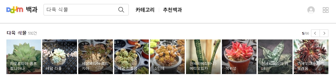 하월시아 콤프토니아나와 세덤 라울 사진과 이름