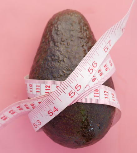 귀리 효능 : 체중관리