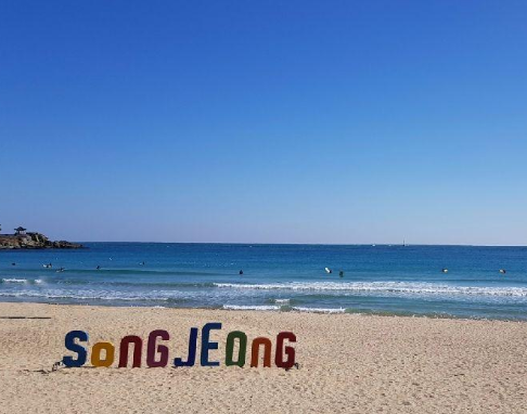 국립공원관리공단 예약