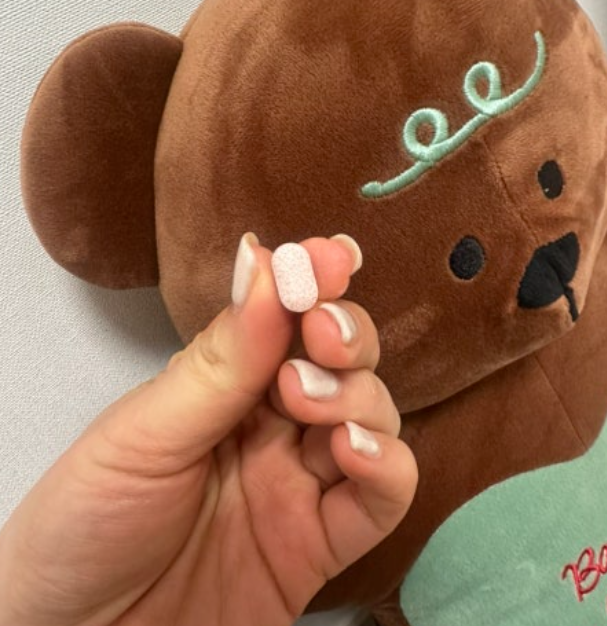 하일리톨 내돈내산 사용자 후기