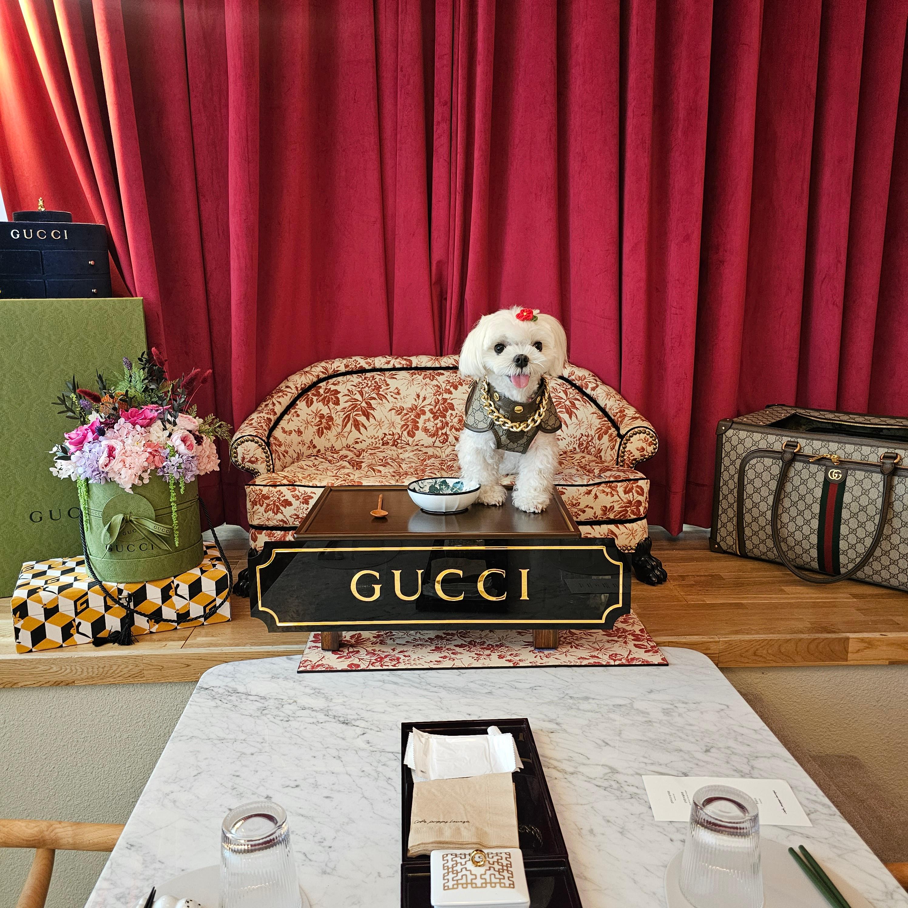 라떼와 함께 동반 식당