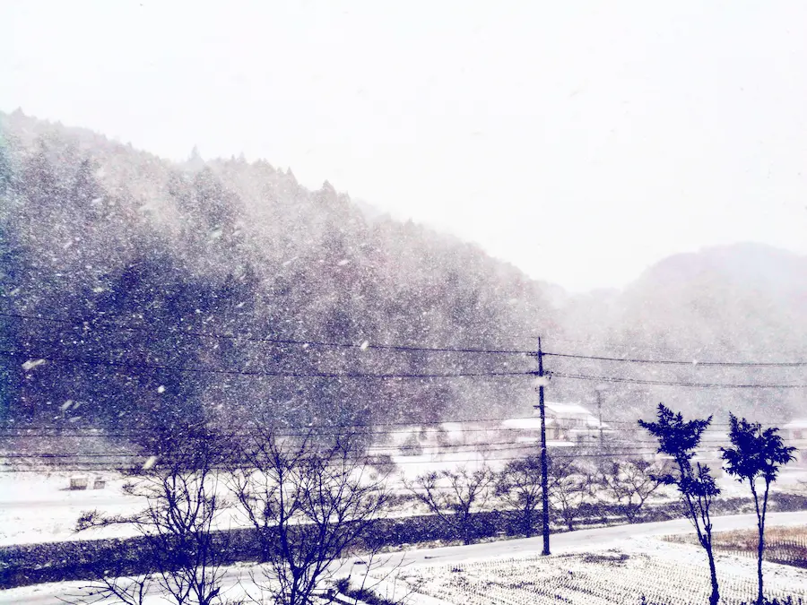 대설(大雪) 유래·풍습·제철음식·겨울준비까지