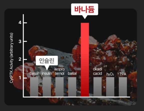 바나듐쌀-효능