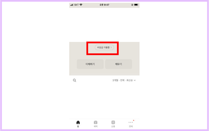 비상금-이용-중