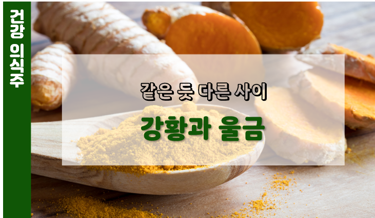 강황과 울금의 차이점